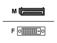 Fujitsu - DisplayPort kabel - DisplayPort (han) til DVI-D (hun) - for Celsius W5011 ESPRIMO D6011, D7010, D7011, D9010, D9011, G5011, P5011, P7011, P9011