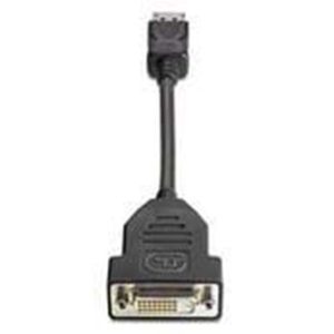 HP DVI-kabel - DisplayPort 19cm