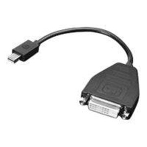 Lenovo DisplayPort adapter - 20 cm